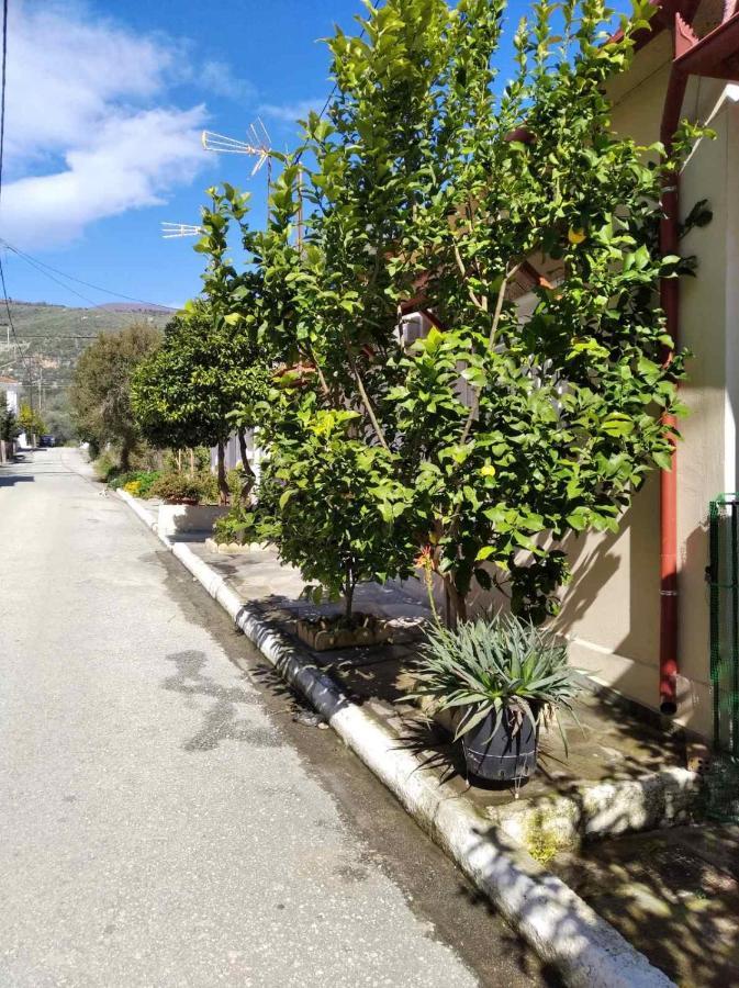 Villa Asteria House Kala Nera Esterno foto
