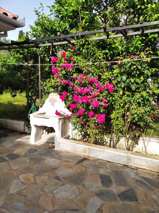 Villa Asteria House Kala Nera Esterno foto