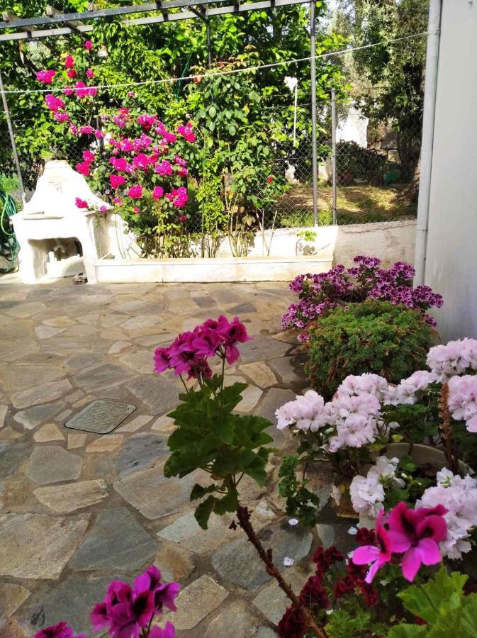 Villa Asteria House Kala Nera Esterno foto